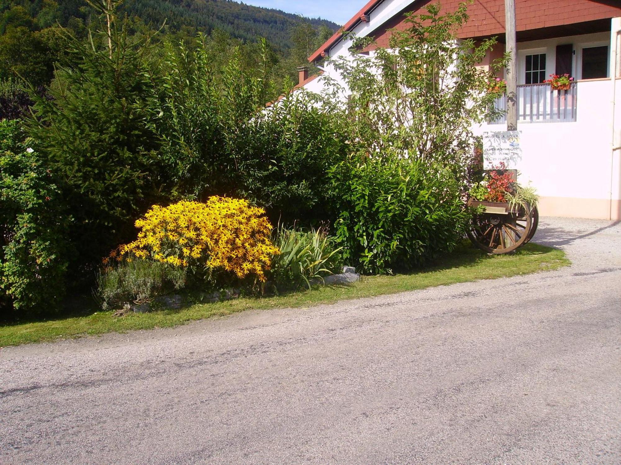 Gites Les Grandes Voies - Cle Vacances Le Ménil Exterior foto