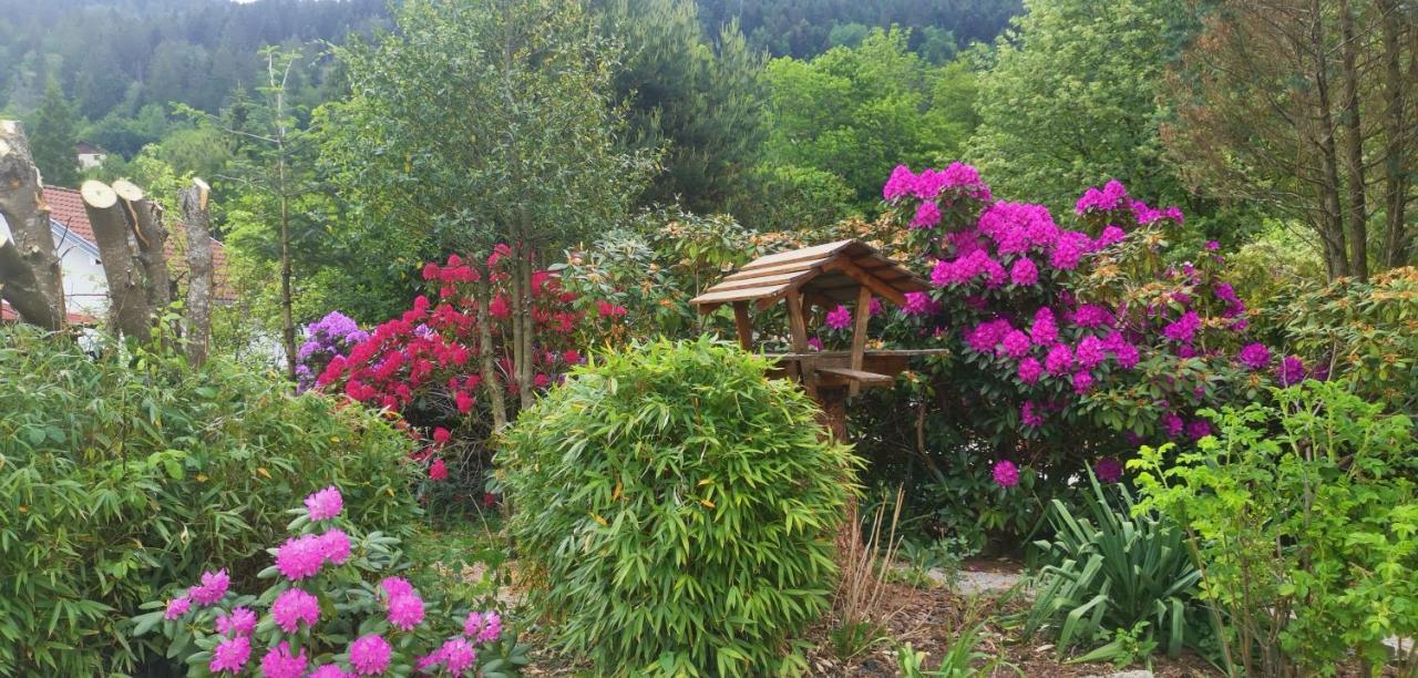 Gites Les Grandes Voies - Cle Vacances Le Ménil Exterior foto